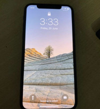 Apple iPhone X