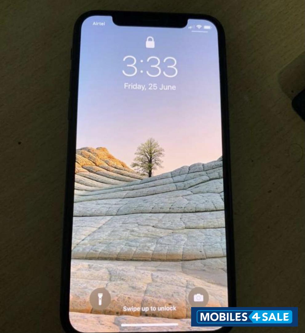 Apple  iPhone X