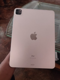 Apple  ipad pro 11 inch 2nd gen