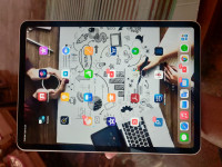 Apple  ipad pro 11 inch 2nd gen