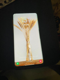 Samsung  s9 plus