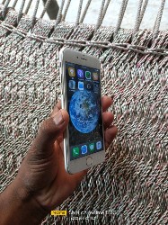 Goden Pink Apple  I phone 6