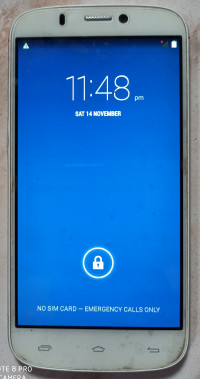 Micromax  Canvas Gold A300