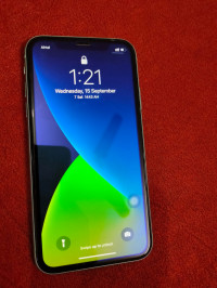 Apple iPhone 11 64GB (Green)