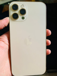 Gold Apple  iphone 12 pro max