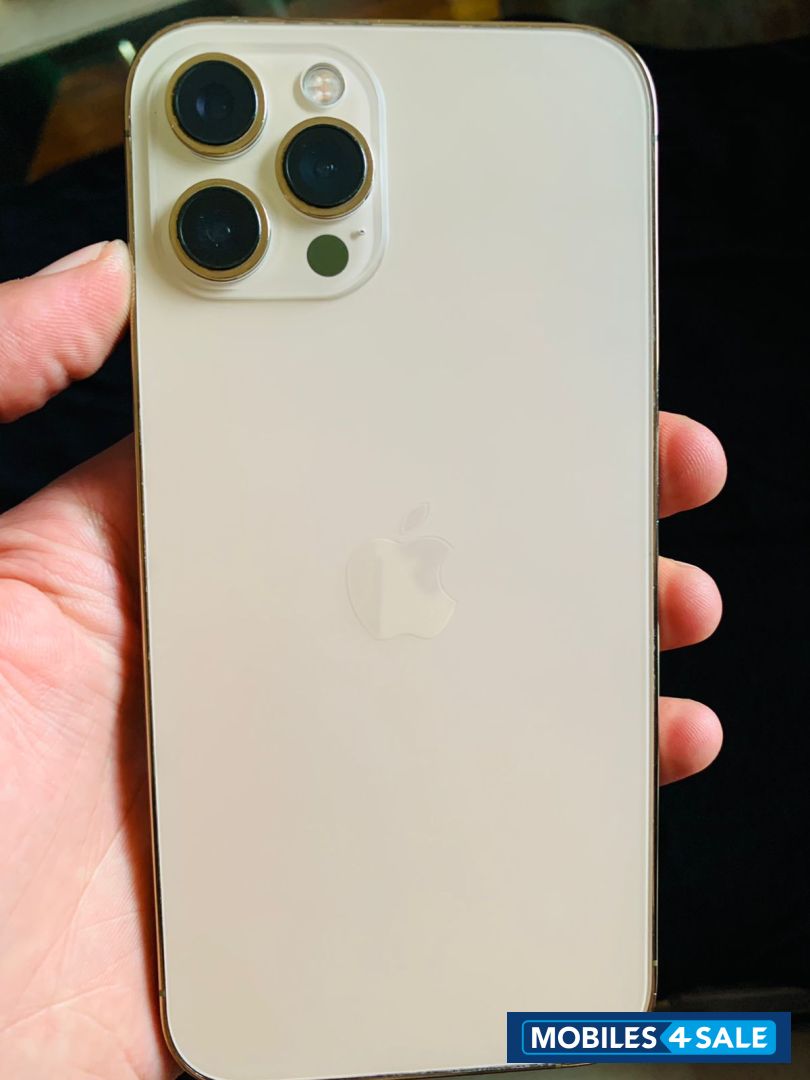 Gold Apple  iphone 12 pro max