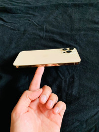 Gold Apple  iphone 12 pro max