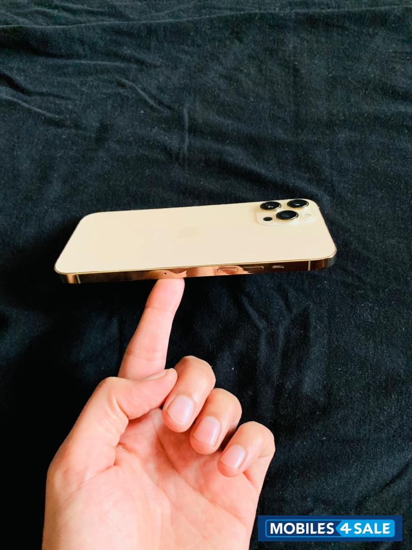 Gold Apple  iphone 12 pro max