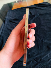 Gold Apple  iphone 12 pro max