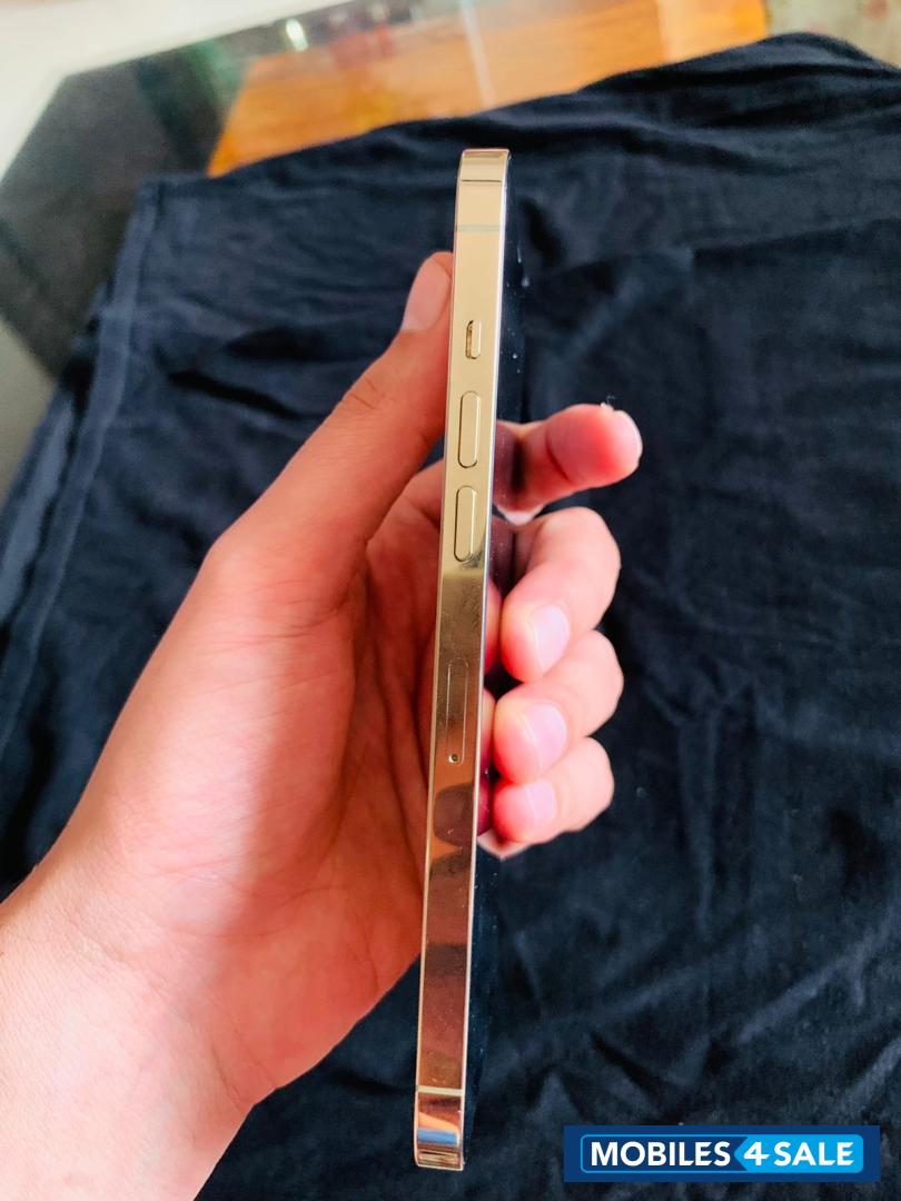 Gold Apple  iphone 12 pro max