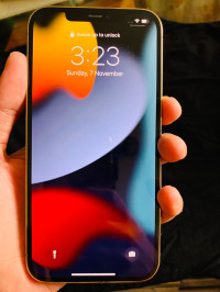 Gold Apple  iphone 12 pro max