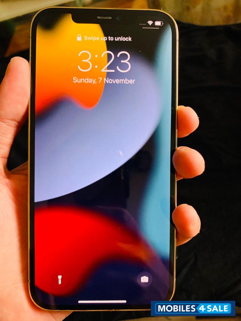 Gold Apple  iphone 12 pro max