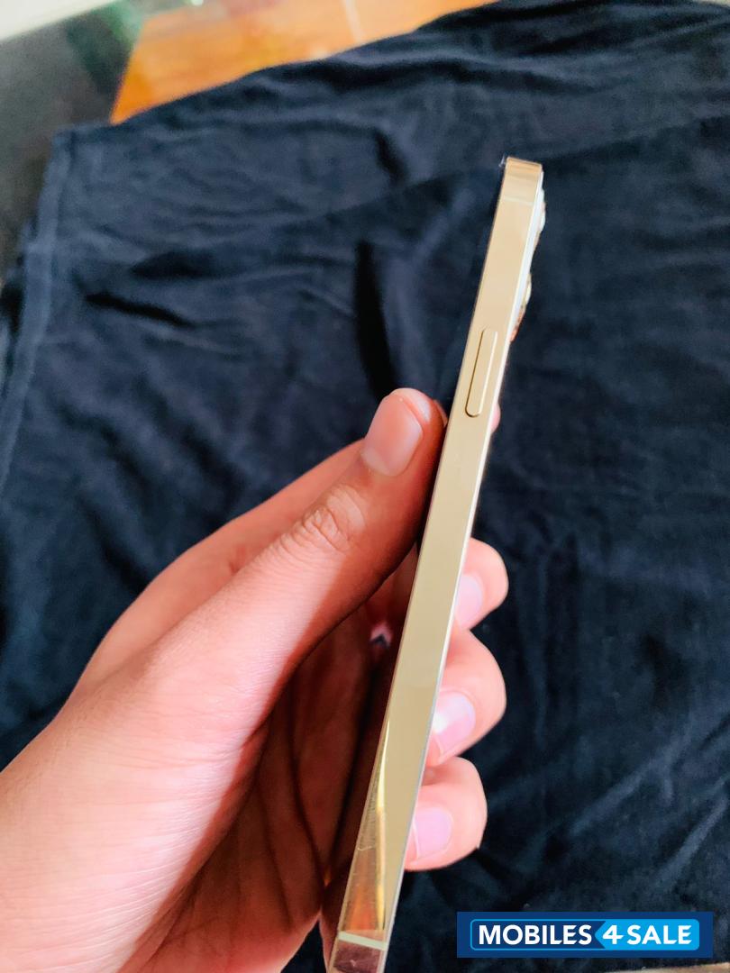Gold Apple  iphone 12 pro max