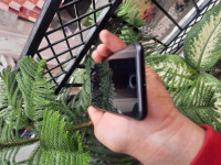 Apple  iPhone SE 2020