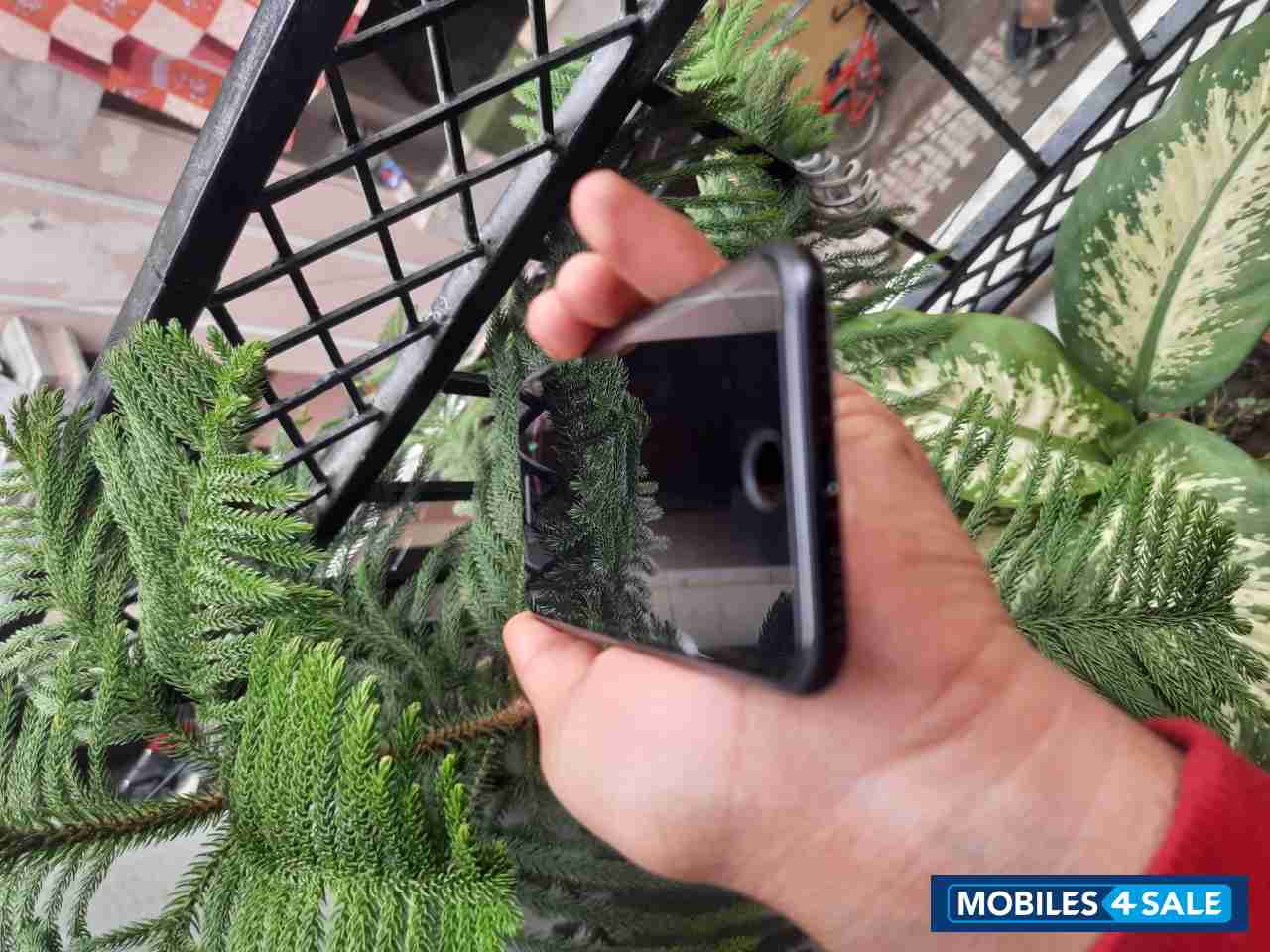 Apple  iPhone SE 2020