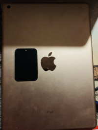 Apple  Ipad 6th generation