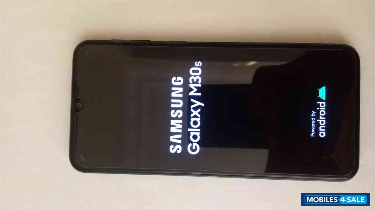 Samsung  M30s
