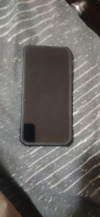 Blue Apple  13 pro max 256