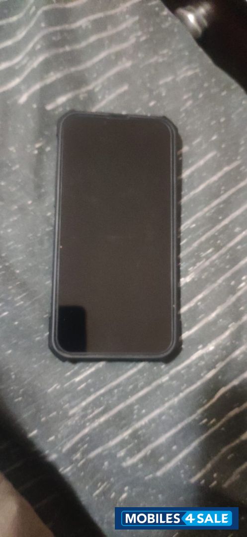 Blue Apple  13 pro max 256