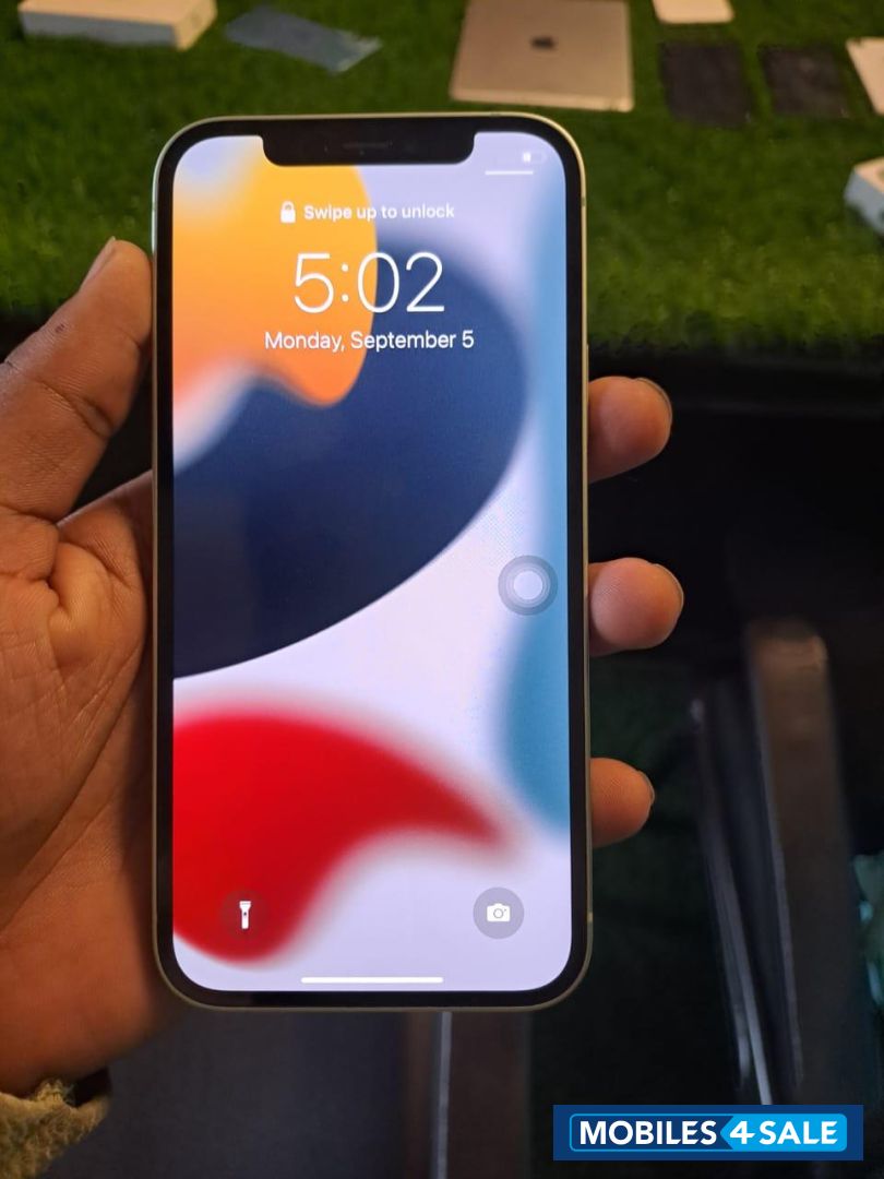 Mint Green Apple  iPhone 12