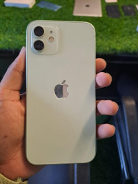 Mint Green Apple  iPhone 12