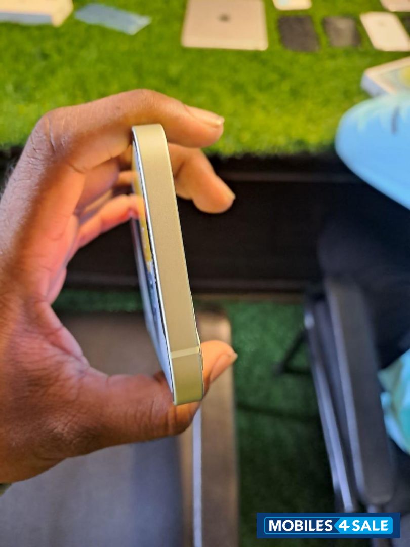 Mint Green Apple  iPhone 12