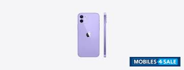 Purple Apple  iphone12