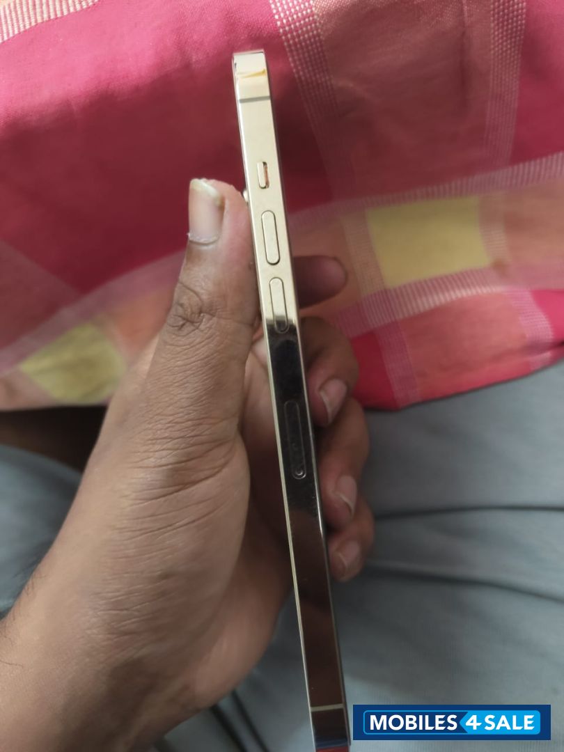 Apple  12 pro max 256 gb