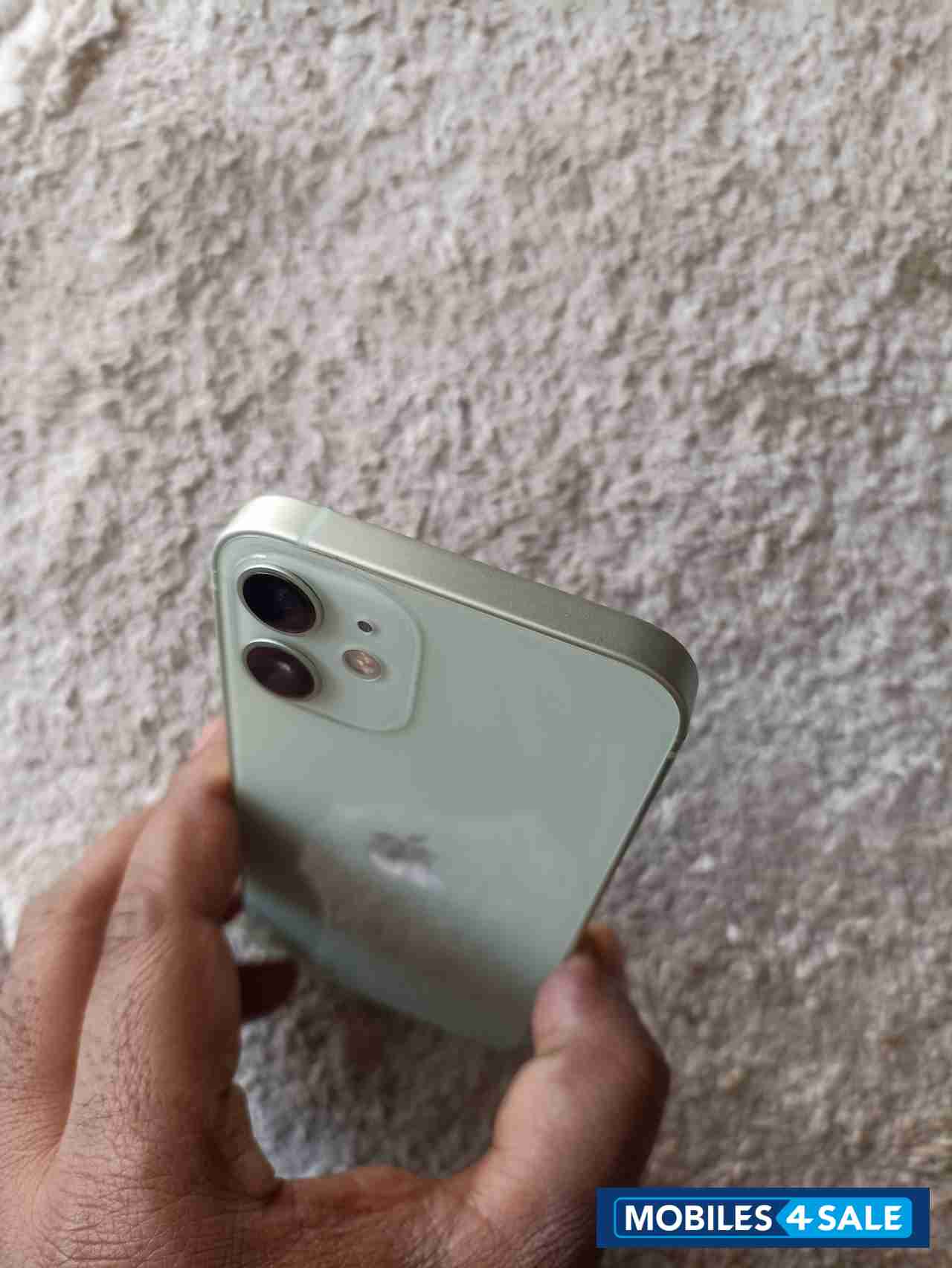 Green Apple  12 mini