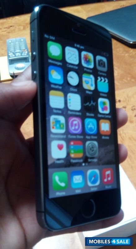 Space Gray Apple iPhone 5S