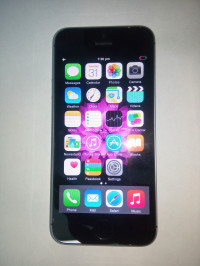 Black Apple iPhone 5S