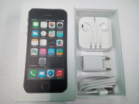 Black Apple iPhone 5S