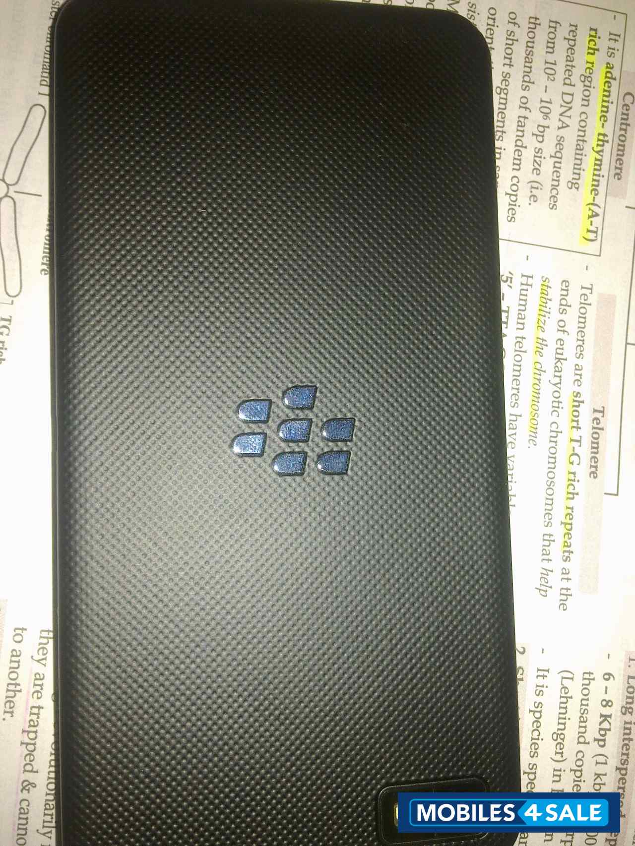 Black BlackBerry Z10