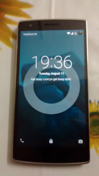 Sandstone Black OnePlus One