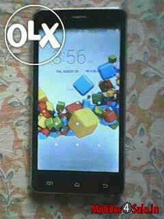 Black Spice Stellar Mi-516