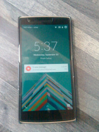 Sandstone Black OnePlus One