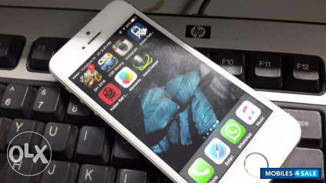 Gold. Apple iPhone 5S