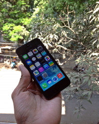 Black Slate Apple iPhone 5