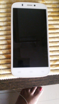 White And Gold Micromax Canvas Gold A300