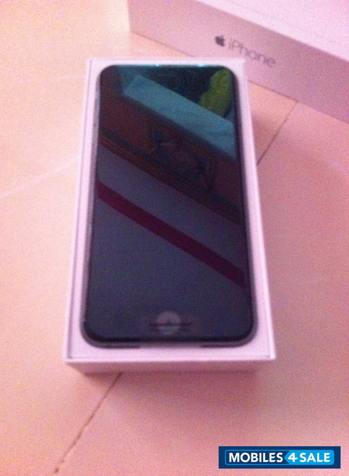 Silver Apple iPhone 6 Plus