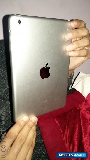 Silver Apple iPad mini 2