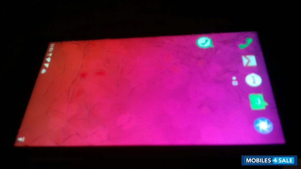 Moondust Gray Yu Yureka