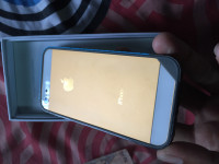 Gold Apple iPhone 5