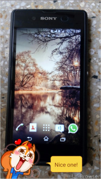 Black Sony Xperia E3 Dual