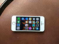 Silver Apple iPhone 5S