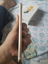 Gold Apple iPhone 6S Plus