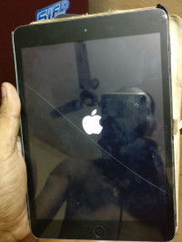 Grey Apple iPad2