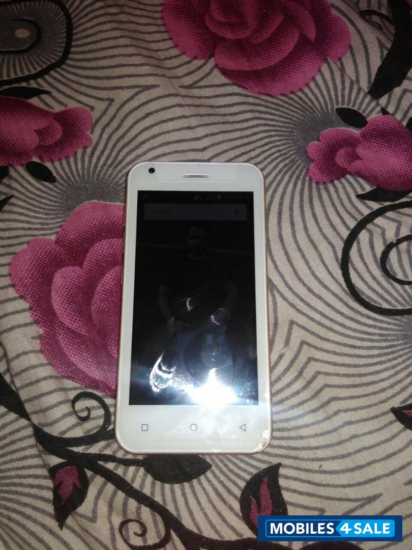 Gold Zen A-series Admire sxy