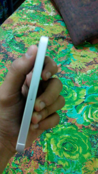 Silver Apple iPhone 5S