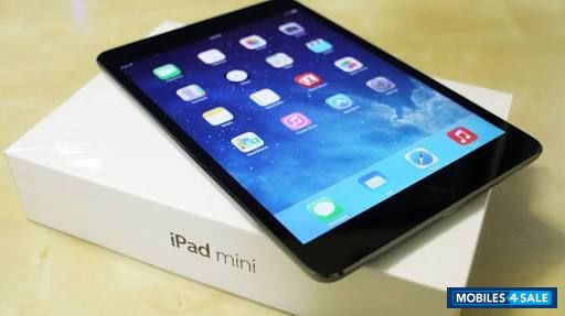 Black Slate Apple iPad mini